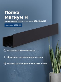 AQUANET Полка Магнум Н 90x12 черная матовая, с крючками AQUANET-341535 - фото 283584