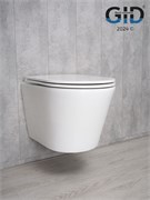 GID Унитаз подвесной Tr2130 62235Y белый 50x36x35 GID-62235Y