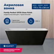 AQUANET Family Ванна акриловая асимметричная отдельностоящая / пристенная размер 170x75 см, цвет белый / черный AQUANET-13775-GW-MB