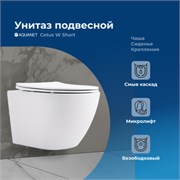 AQUANET Унитаз подвесной Rimless Cetus W Short LX-1900, белый AQUANET-249710