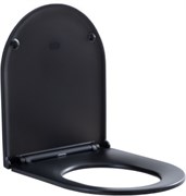 AQUANET Сиденье для унитаза Lake черный матовый AQUANET-316466