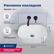 AQUANET Fine Раковина накладная ширина 50 см, черный AQUANET-273682