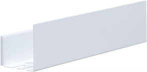 AQUANET Полка Магнум 50x12 белая матовая, с крючками AQUANET-302232