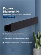 AQUANET Полка Магнум Н 50x12 черная матовая, с крючками AQUANET-341533