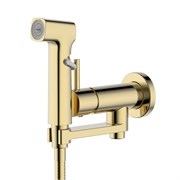 AQUATEK AQ1819BG НИКА Комплект для гигиенического душа встроенный (Смеситель + гигиеническая лейка + шланг), шлиф.золото AQ1819BG