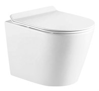 AZARIO Унитаз подвесной  FONTI 535x365x310 безободковый, в комплекте с сиденьем микролифт, белый (AZ-402W) AZ-402W