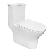 AZARIO Унитаз-моноблок  Terni 670x350x760 слив "Торнадо", быстросъемное сиденье микролифт (AZ-8618T) AZ-8618T
