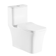 AZARIO Унитаз-моноблок  GRESSA 705х370х760 напольный, безободковый, в комплекте с сиденьем дюропласт микролифт, белый (AZ-1111) AZ-1111