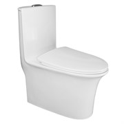 AZARIO Унитаз моноблок  Luna 770x390x710 напольный, горизонтальный слив, сиденье дюропласт микролифт (AZ-1037) AZ-1037