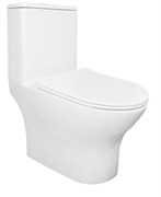 AZARIO Унитаз-моноблок  Terni 670x350x760 горизонтальный слив, быстросъемное сиденье микролифт (AZ-8618) AZ-8618