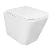 AZARIO Pro Унитаз подвесной 340х490х350 безободковый, в комплекте с быстросъемным сидением микролифт (PRO-002) PRO-0002