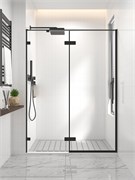 VECONI Душевая дверь распашная  Premium Alassio B, 1300х2000, черный матовый, стекло прозрачное осветленное AL-130-00-B-C4