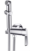 DK Смеситель с гигиеническим душем встраиваемый Rhein.Schiller DA1464501 DA1464501