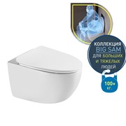 DK Унитаз подвесной безободковый (торнадо) Grimm 560*390*395мм, сиденье микролифт, белый (DT1386516) DT1386516