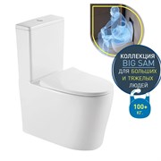 DK Унитаз-компакт безободковый торнадо Grimm 700*390*880мм (DT1387516) DT1387516