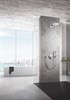 GROHE Подключение для шланга Rainshower 27057000 - фото 145270