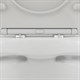 DAMIXA Skyline Унитаз напольный безободковый с сиденьем микролифт, цвет белый - фото 183827