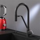 AM.PM F8007822 Like, смеситель для кухни с каналом для питьевой воды и гибким изливом, черный, шт. - фото 185656