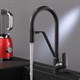 AM.PM F8007822 Like, смеситель для кухни с каналом для питьевой воды и гибким изливом, черный, шт. - фото 185657