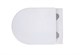 AQUATEK Европа Унитаз подвесной безободковый с сиденьем Soft Close, цвет белый - фото 191908