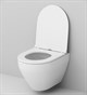 AM.PM Spirit Комплект инсталляция с клавишей Start S хром с подвесным унитазом Spirit FlashClean с сиденьем м/лифт IS30251.701700