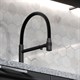 SANCOS Garda Смеситель для кухни с возможностью подключения фильтра для воды, цвет матовый черный - фото 229390