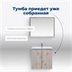AQUANET Тумба под раковину подвесная Алвита New 70 2 дверцы, дуб веллингтон белый AQUANET-303906 - фото 265352