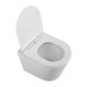 BELBAGNO Flay-R Унитаз подвесной безободковый с сиденьем дюропласт soft close, белый BB053CHR/SC - фото 275485