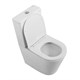 BELBAGNO Flay-R Чаша унитаза безободкового с сиденьем дюропласт soft close P-trap, белый BB2149CPR/SC - фото 275506