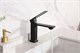 GID Смеситель для раковины Niagara L057-BM-K L057BMK черный матовый GID-L057BMK - фото 278439