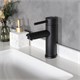 GID Смеситель для раковины Berlin SS080-BM-K SS080BMK черный матовый GID-SS080BMK - фото 278706