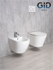 GID Унитаз подвесной Tr2130 62235Y белый 50x36x35 GID-62235Y - фото 279714
