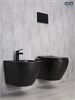 GID Унитаз подвесной Bm2198 62226Y черный матовый 49x36x35.5 GID-62226Y - фото 279831