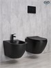 GID Унитаз подвесной Bm2198 62226Y черный матовый 49x36x35.5 GID-62226Y - фото 279832