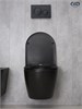 GID Унитаз подвесной Bm2198 62226Y черный матовый 49x36x35.5 GID-62226Y - фото 279835