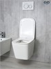 GID Унитаз подвесной Tr2143 62257Y белый 49x34x36 GID-62257Y - фото 279885