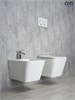 GID Унитаз подвесной Tr2143 62257Y белый 49x34x36 GID-62257Y - фото 279889
