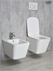 GID Унитаз подвесной Tr2143 62257Y белый 49x34x36 GID-62257Y - фото 279890