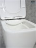 GID Унитаз подвесной Tr2143 62257Y белый 49x34x36 GID-62257Y - фото 279891