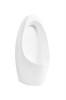 GID Подвесной писсуар Q9501 91105 белый 35x31x70 GID-91105 - фото 280036