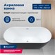 AQUANET Delight Ванна акриловая овальная отдельностоящая / пристенная размер 170x80 см, цвет белый / черный AQUANET-289723 - фото 280175