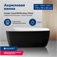 AQUANET Family Ванна акриловая асимметричная отдельностоящая / пристенная размер 170x80 см, цвет белый / черный AQUANET-90778-GW-MB - фото 280283