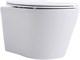 AQUANET Унитаз подвесной Rimless Atago 2.0 W LX-1905, белый AQUANET-243549 - фото 280538