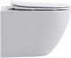 AQUANET Унитаз подвесной Rimless Cetus W Short LX-1900, белый AQUANET-249710 - фото 280543