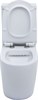 AQUANET Чаша напольного унитаза Rimless Cetus-C1 BL-102N-TPT, белый AQUANET-203342 - фото 280880