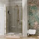WASSERKRAFT Aisch 55P Душевая дверь распашные ширина 120 см профиль - золото / стекло - прозрачное WASSERKRAFT 55P05 - фото 290475