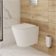 IDDIS Унитаз подвесной безободковый Calipso (CALRNSEi25) CALRNSEi25 - фото 296748