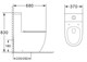 AZARIO Унитаз-моноблок  MORANO 680x370х830 напольный, безободковый, в комплекте со смывным механизмом Geberit и сиденьем дюропласт микролифт (AZ-1001-G) AZ-1001-G - фото 302261