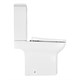 AZARIO Унитаз-компакт  Alba 620х405х805 напольный, безободковый, с сиденьем микролифт (AZ-8323) AZ-8323 - фото 302491