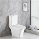 AZARIO Унитаз-компакт  AVERO 660x360х820 напольный, безободковый в комплекте с бачком, смывным механизмом Geberit и сиденьем микролифт (AZ-3121-G) AZ-3121-G - фото 303012